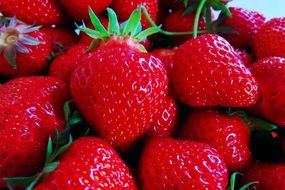 Bright Red strawberries in summer