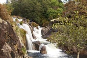 scenic waterfall in a forest
