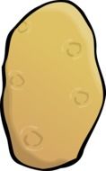 simple potato tuber vector drawing
