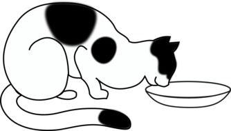 Cat eating from a bowl