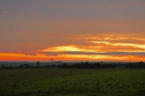 sunset cloud green field landscape