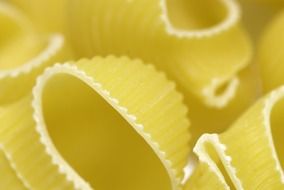 pasta close-up