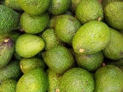 exotic green avocados close up