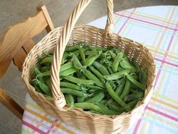 green peas in basket on table