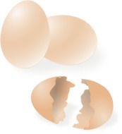 drawn broken and whole eggs