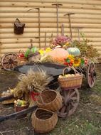 harvest, farm products on vintage wooden cart