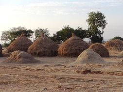 Hay stacks in India