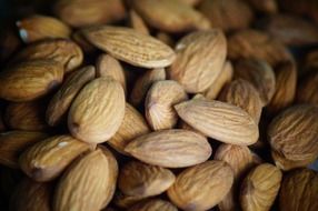 no shell raw almond close up