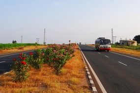 bus on the highway with separation