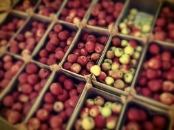 fruits on sale