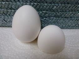 whole and broken white chicken eggs