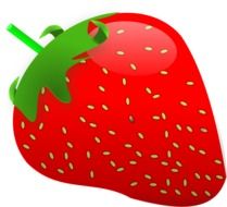 drawing of red strawberry on a white background