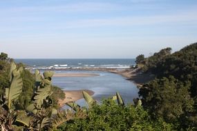 ocean beach panorama through tropical trees