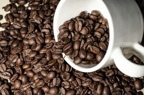 aromatic brown coffee beans