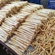 harvested asparagus