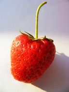 organic red strawberry