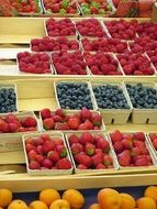 Berries in baskets