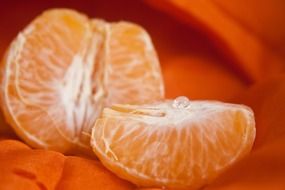 tasty orange slice