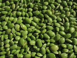beans in the pot