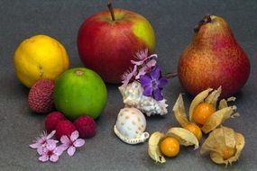 a variety of fruits