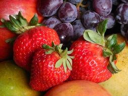 juicy fruits and berries