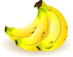 yellow bananas on white background
