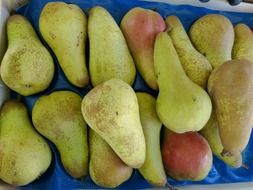 green pears in a box in the market