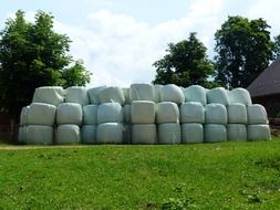 hay bales agriculture