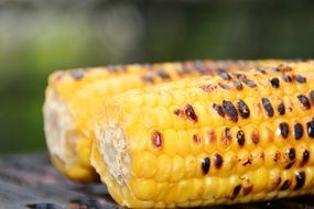 baked sweet corn