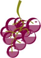 drawing a bunch of purple grapes