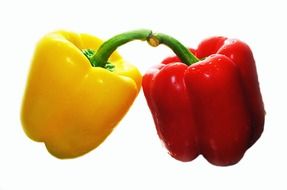 yellow and red pepper on a white background