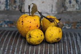 dried yellow apples close-up