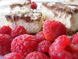 Sweet cheesecake pieces