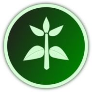 plantgrowing as a green pictogram