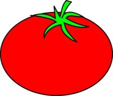 Bright Red tomato
