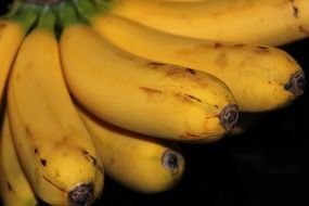 bunch of yellow bananas close-up