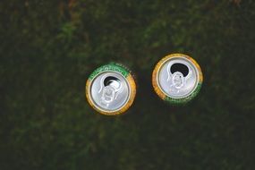 two cans on a grass