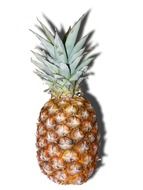 graphic image of pineapple