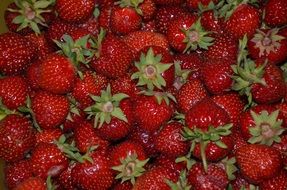 red strawberries with green tails