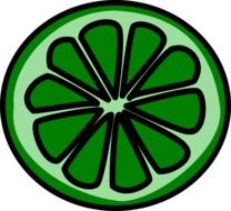 Slice of green lime