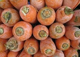 dirty orange carrot