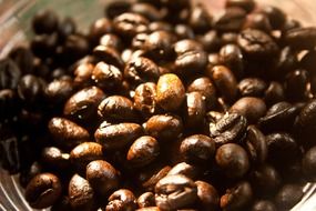 roasted coffee beans