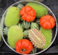 colorful juicy fruits in bowl