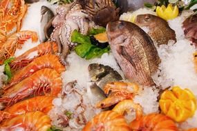 seafood in ice close up