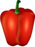 red pepper drawing