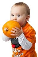 little boy bites a pumpkin