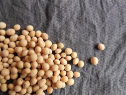 soybeans on fabric
