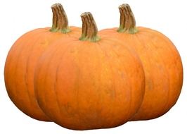 three pumpkins on a white background