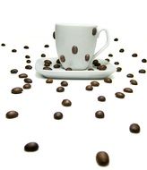 coffee cup and beans drawing