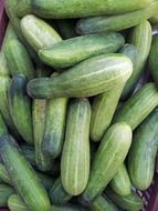 Green Japanese cucumbers